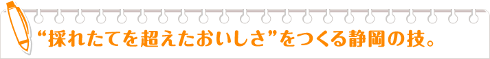 “採れたてを超えたおいしさ”をつくる静岡の技。