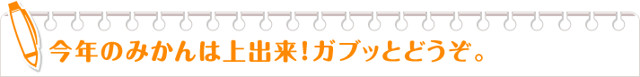 今年のみかんは上出来！ガブッとどうぞ。