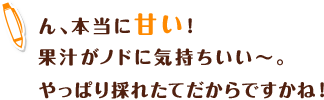 ん、本当に甘い!果汁がノドに気持ちいい～。やっぱり採れたてだからですかね！