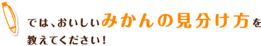 では、おいしいみかんの見分け方を教えてください！