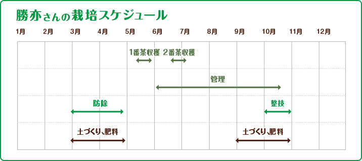 勝亦さんの栽培スケジュール