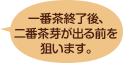 一番茶終了後、二番茶芽が出る前を狙います。