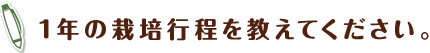 1年の栽培行程を教えてください。