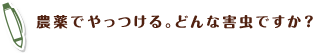 農薬でやっつける。どんな害虫ですか？