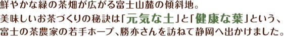 鮮やかな緑の茶畑が広がる富士山麓の傾斜地。美味しいお茶づくりの秘訣は「元気な土」と「健康な葉」という、富士の茶農家の若手ホープ、勝亦さんを訪ねて静岡へ出かけました。