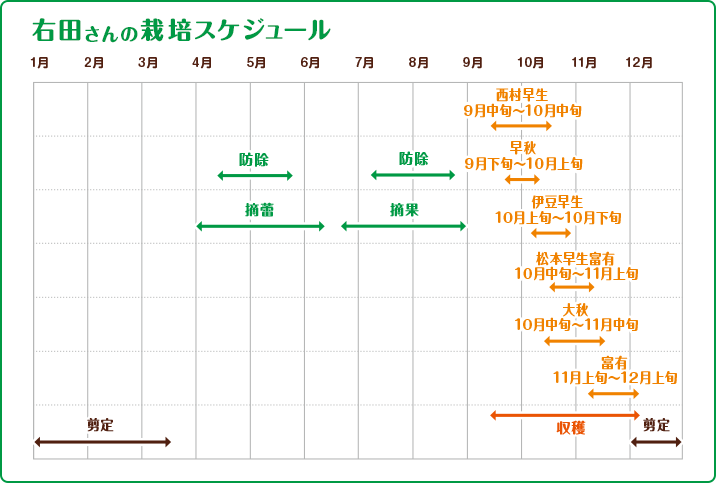 右田さんの栽培スケジュール