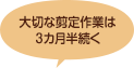 大切な剪定作業は3カ月半続く