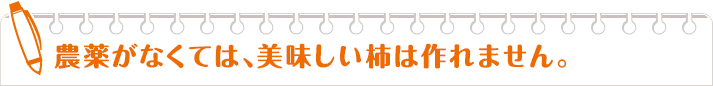 農薬がなくては、美味しい柿は作れません。