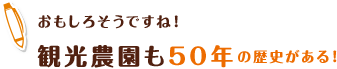 おもしろそうですね！観光農園も50年の歴史がある！