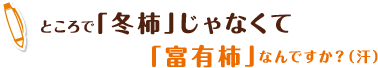 ところで「冬柿」じゃなくて「富有柿」なんですか？（汗）