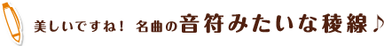 美しいですね！名曲の音符みたいな稜線♪