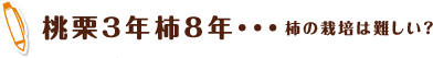 桃栗3年柿8年・・・柿の栽培は難しい？