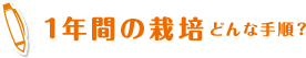 1年間の栽培どんな手順？