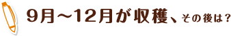 9月～12月が収穫、その後は？