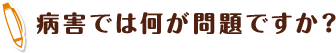 病害では何が問題ですか？