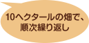 10ヘクタールの畑で、順次繰り返し