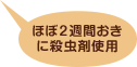 ほぼ2週間おきに殺虫剤使用