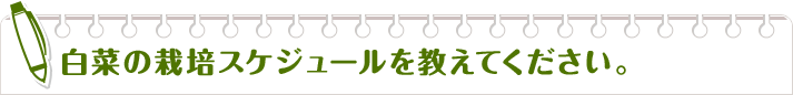 白菜の栽培スケジュールを教えてください。