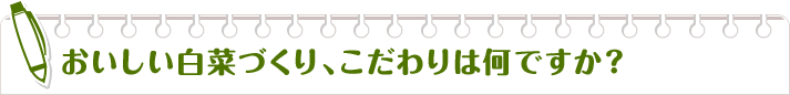 おいしい白菜づくり、こだわりは何ですか？