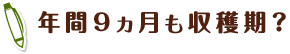 年間9ヵ月も収穫期？