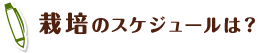 栽培のスケジュールは？