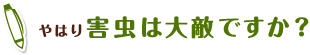 やはり害虫は大敵ですか？