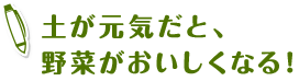 土が元気だと、野菜がおいしくなる！