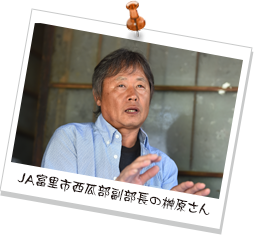 JA富里市西瓜部副部長の榊原さん