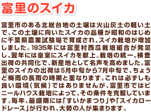 富里市のある北総台地の土壌は火山灰土の軽い土で、この土壌に向いたスイカの品種が昭和のはじめに千葉県農業試験場で育成され、スイカ栽培が増加しました。1935年には富里村西瓜栽培組合が発足し、翌年には皇室にスイカを献上。栽培の統一、検査出荷の共同化で、新産地として名声を高めました。富里のスイカの出荷は5月中旬から7月中旬で、ちょうど梅雨の長雨の時期と重なります。これは必ずしも良い環境（気候）ではありませんが、富里市ではビニールハウス栽培によって、その条件を克服しています。毎年、最盛期には「すいかまつり」や「スイカロードレース」が行われ、大勢の人が集まります。