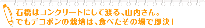 石橋はコンクリートにして渡る、山内さん。 でもデコポンの栽培は、食べたその場で即決！