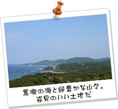 黒潮の海と緑豊かな山々。姿見のいい土地だ