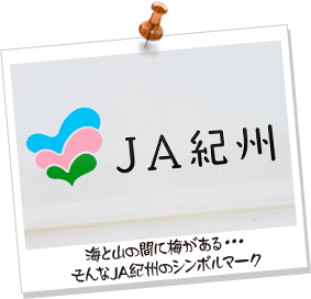 海と山の間に梅がある・・・そんなJA紀州のシンボルマーク