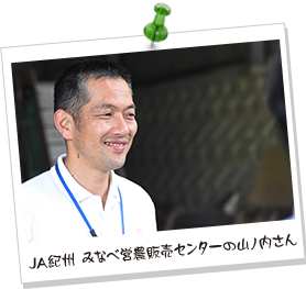 JA紀州　みなべ営農販売センターの山ノ内さん。