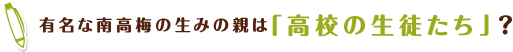 有名な南高梅の生みの親は「高校の生徒たち」？