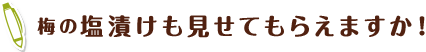 梅の塩漬けも見せてもらえますか！