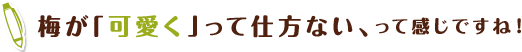 梅が「可愛く」って仕方ない、って感じですね！