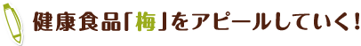 健康食品「梅」をアピールしていく！