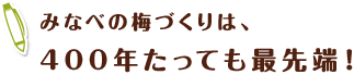 みなべの梅づくりは、400年たっても最先端！