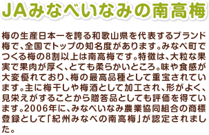 JAみなべいなみの南高梅 梅の生産日本一を誇る和歌山県を代表するブランド梅で、全国でトップの知名度があります。みなべ町でつくる梅の8割以上は南高梅です。特徴は、大粒な果実で果肉が厚く、とても柔らかいところ。味や食感が大変優れており、梅の最高品種として重宝されています。主に梅干しや梅酒として加工され、形がよく、見栄えがすることから贈答品としても評価を得ています。2006年に、みなべいなみ農業協同組合の商標登録として「紀州みなべの南高梅」が認定されました。