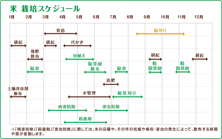 米　栽培スケジュール