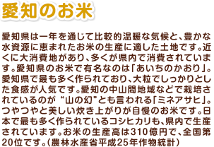 愛知県は一年を通じて比較的温暖な気候と、豊かな水資源に恵まれたお米の生産に適した土地です。近くに大消費地があり、多くが県内で消費されています。愛知県のお米で有名なのは「あいちのかおり」。愛知県で最も多く作られており、大粒でしっかりとした食感が人気です。愛知の中山間地域などで栽培されているのが“山の幻”とも言われる「ミネアサヒ」。つやつやと美しい炊き上がりが自慢のお米です。日本で最も多く作られているコシヒカリも、県内で生産されています。お米の生産高は310億円で、全国第20位です。（農林水産省平成25年作物統計）