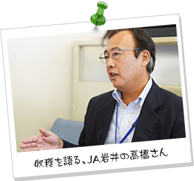 収穫を語る、JA岩井の高橋さん