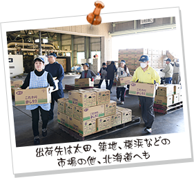 出荷先は太田、築地、横浜などの 市場の他、北海道へも