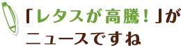 「レタスが高騰！」がニュースですね