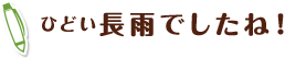 ひどい長雨でしたね！