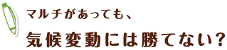 マルチがあっても、 気候変動には勝てない？