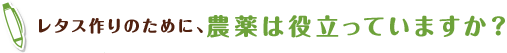 レタス作りのために、農薬は役立っていますか？