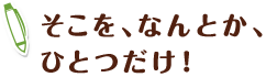 そこを、なんとか、 ひとつだけ！