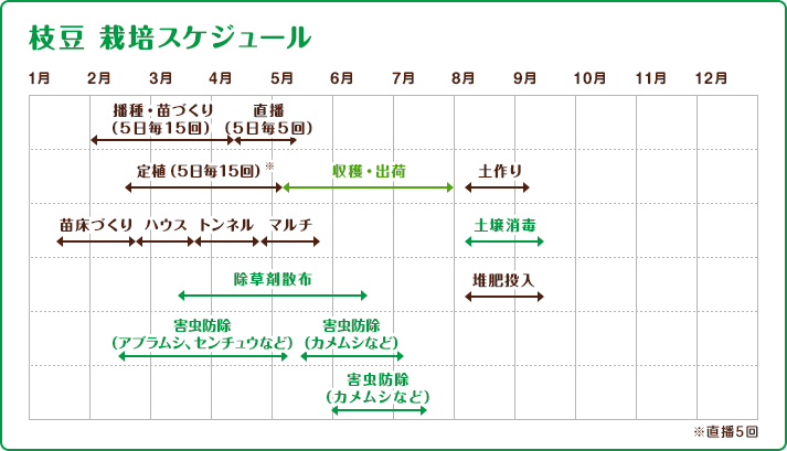 枝豆　栽培スケジュール