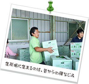 集荷場に集まるのは、昔からの顔なじみ